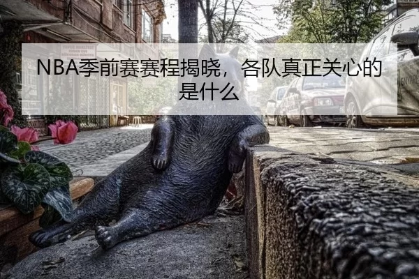 NBA季前赛赛程揭晓，各队真正关心的是什么